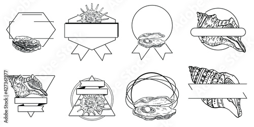 Sea shell logo with Hand drawn sketch black lines on a white background. Template for menu or spa poster. Seafood or Travel emblem.