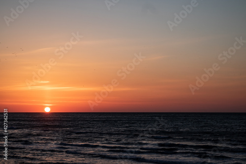 Beautiful sunset on the sea and many birds