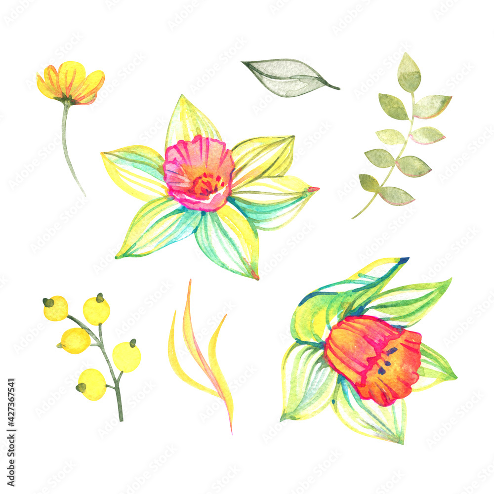 Watercolor hand painted flowers. Can be used as background for web pages, wedding invitations, greeting cards, postcards, patterns, prints, textile design, package design and so on.