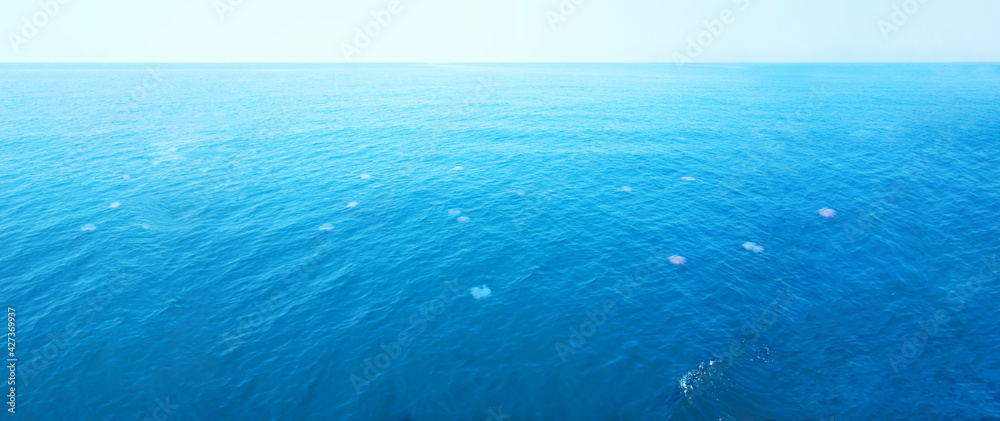 Wide panoramic frame of ocean and marine life. Transparent sea, seascape. Group of beautiful jellyfish. Ripples on the surface of bright blue water. Boundless open ocean space, depth, horizon line