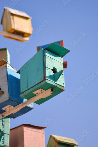 bird house