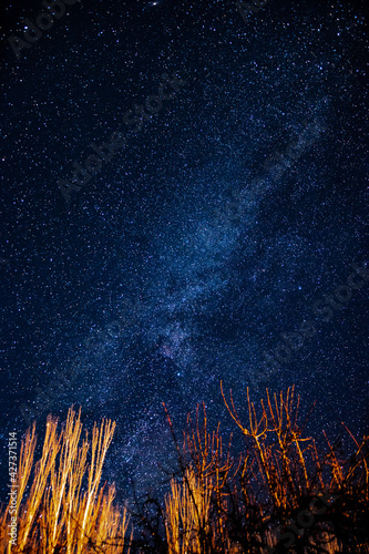 night sky with stars