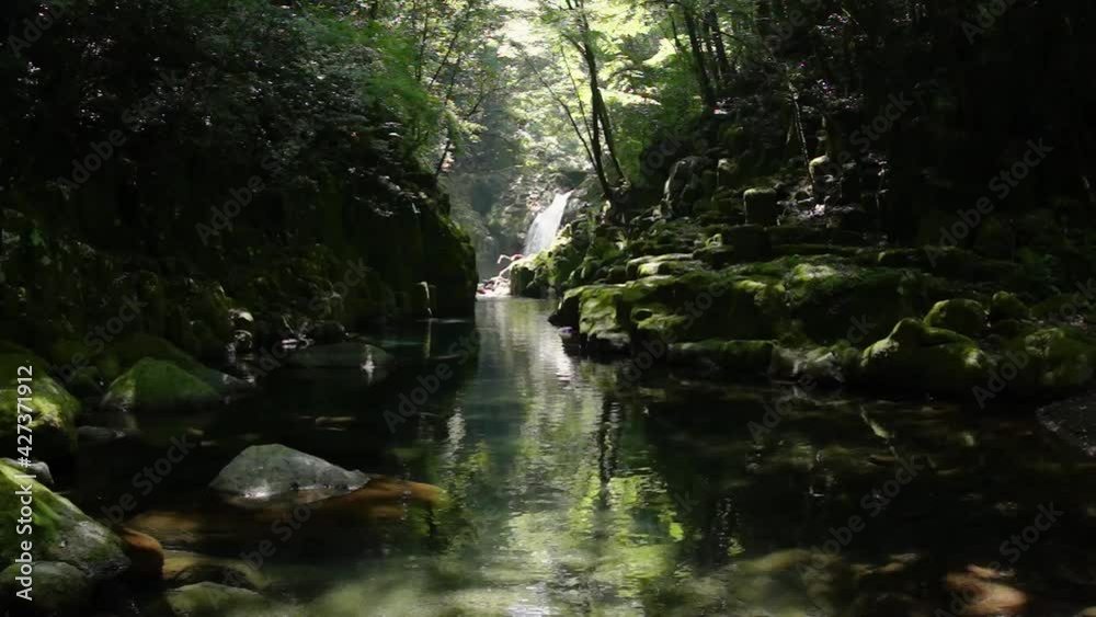 春の菊池渓谷 春の菊池渓谷