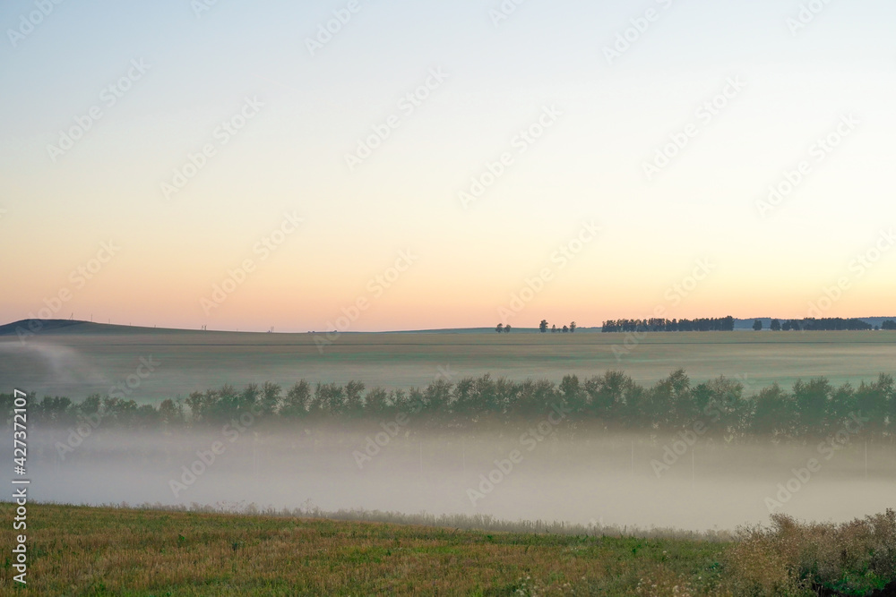 Sunrise over a field of grain on a foggy spring day. Rural landscape, countryside at dawn. Landscape.