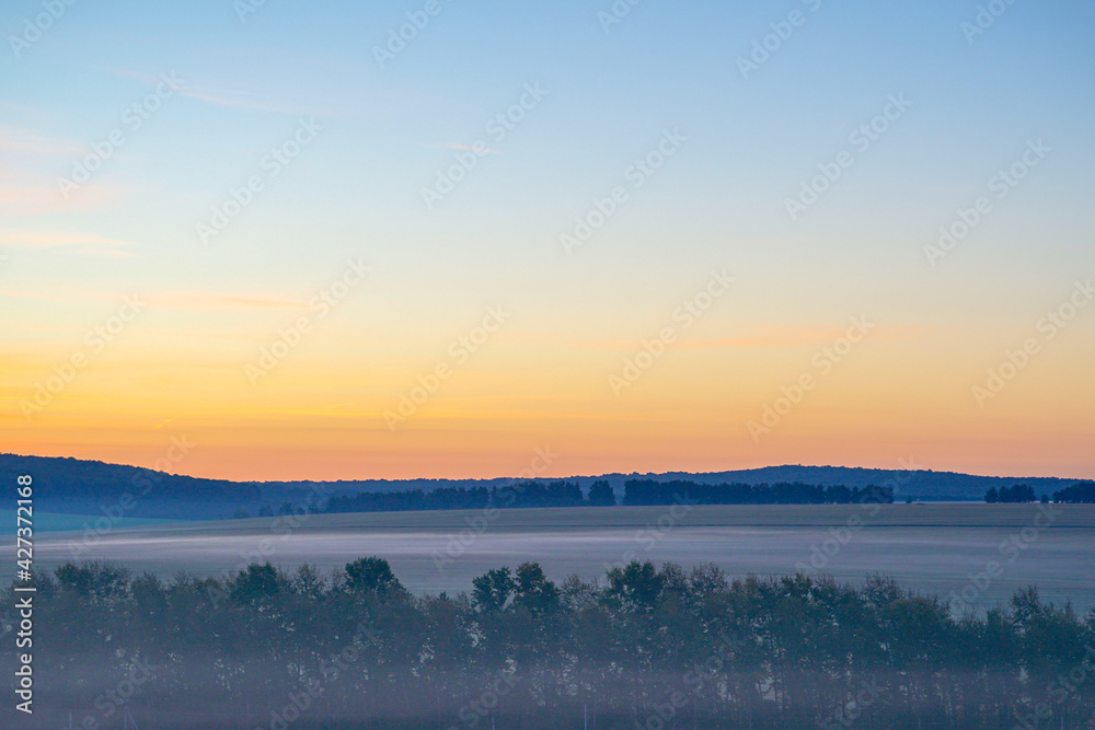 Fototapeta premium Sunrise on a field covered with wild flowers in summer season with fog and trees with a cloudy sky background in morning. Landscape.