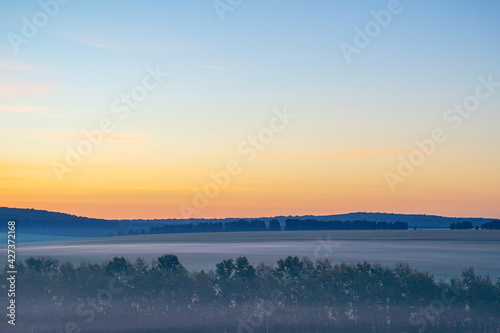 Sunrise on a field covered with wild flowers in summer season with fog and trees with a cloudy sky background in morning. Landscape.