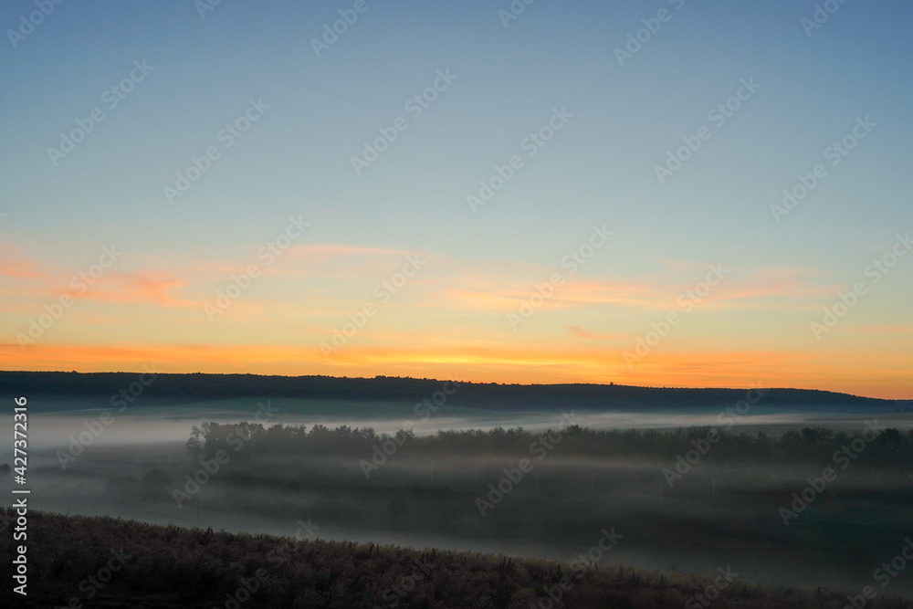 Sunrise over a field of grain on a foggy spring day. Rural landscape, countryside at dawn. Landscape.