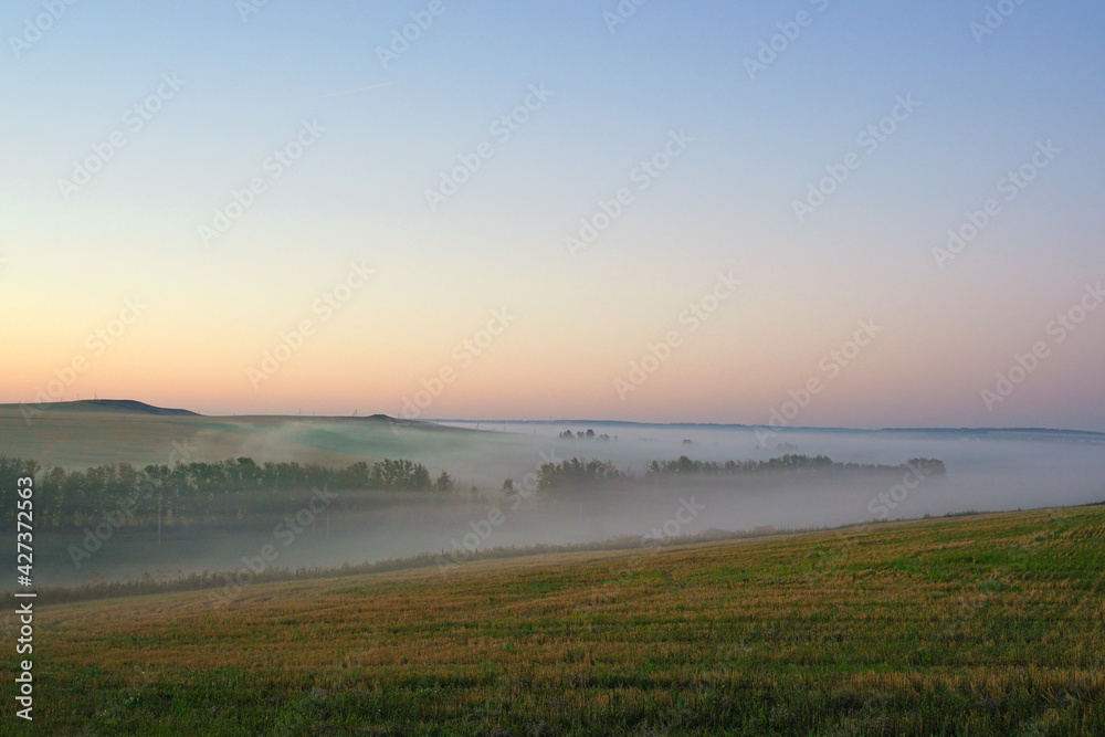 Obraz premium Sunrise on a field covered with wild flowers in summer season with fog and trees with a cloudy sky background in morning. Landscape.