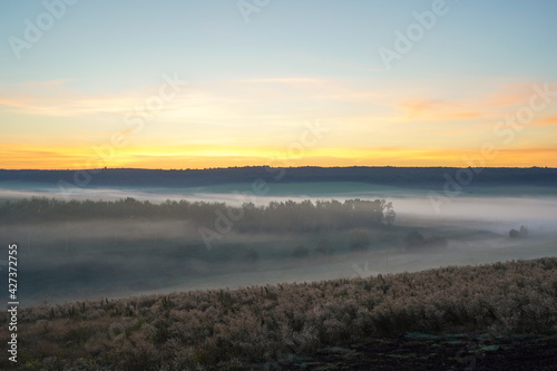 Sunrise on a field covered with wild flowers in summer season with fog and trees with a cloudy sky background in morning. Landscape