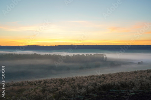 Sunrise on a field covered with wild flowers in summer season with fog and trees with a cloudy sky background in morning. Landscape © Алексей Закиров