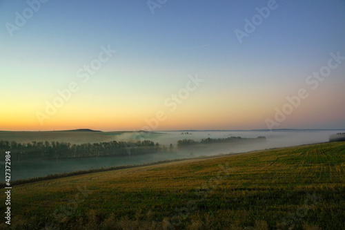 Sunrise on a field covered with wild flowers in summer season with fog and trees with a cloudy sky background in morning. Landscape