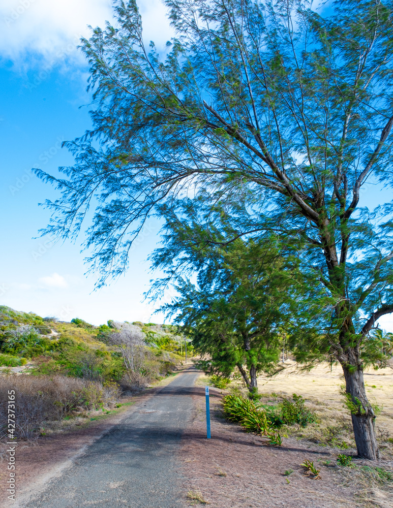 Some of the most beautiful views of the Caribbean island Antigua and Barbuda