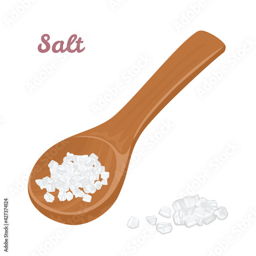 Salt in wooden spoon isolated on white background. Vector illustration of spices in cartoon flat style.