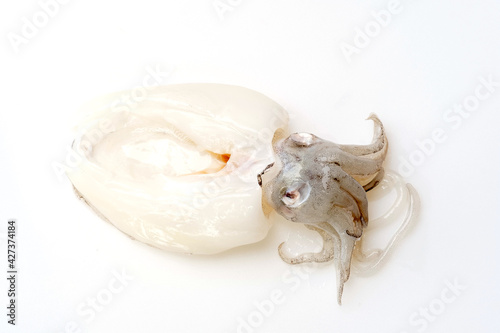 Raw squid for cooking on white background for using in work editing © ISENGARD