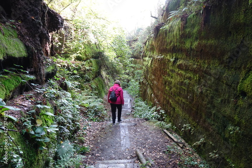 Wandern im Lattengrund, Saechische Schweiz photo