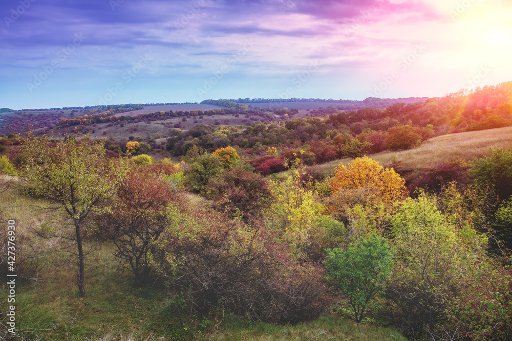 View of colorful hills in autumn. Beautiful nature landscape.  Ukraine