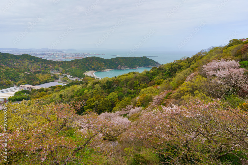 桜咲く日峯山展望台からの眺め　(徳島県徳島市)
