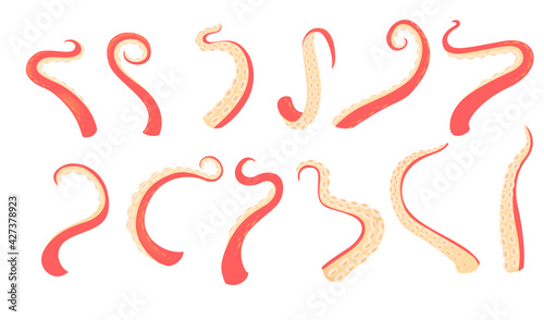 Set of diffirent red octopus tentacles vector illustration isolated on white background photo