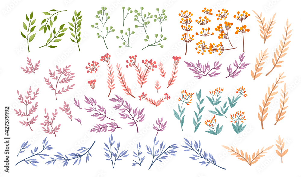 Fototapeta premium Set of various colored plants vector illustration isolated on white background