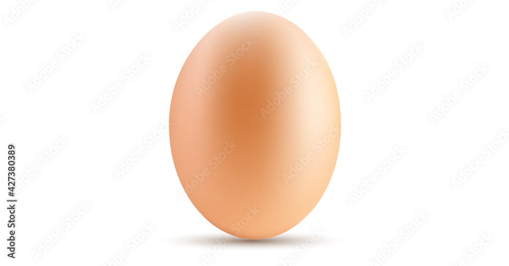 egg isolated on a white background. vector EPS egg isolated on a white background. vector EPS