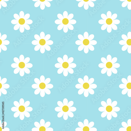White chamomile flower pattern Bright blue background