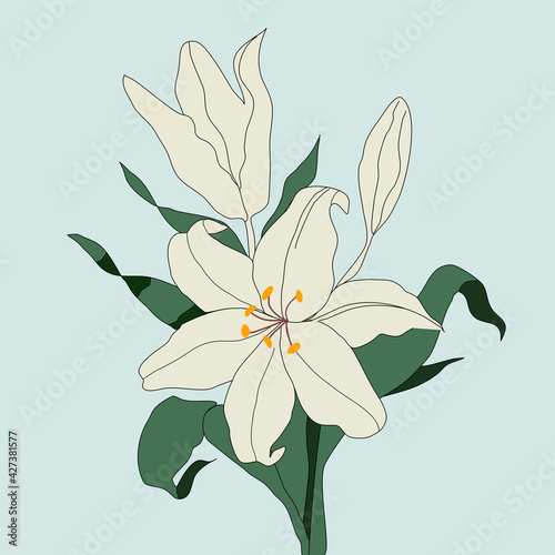 White billy flowers  Green background home decoration scene illustration