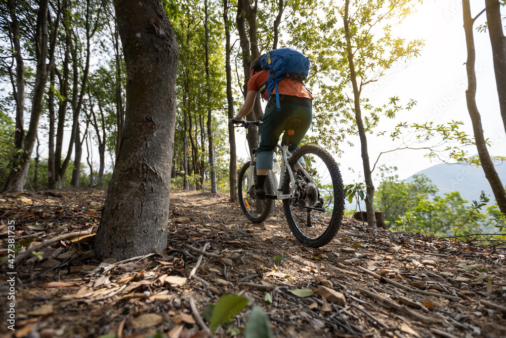 Woman cyclist cycling on spring mountain top forest trail