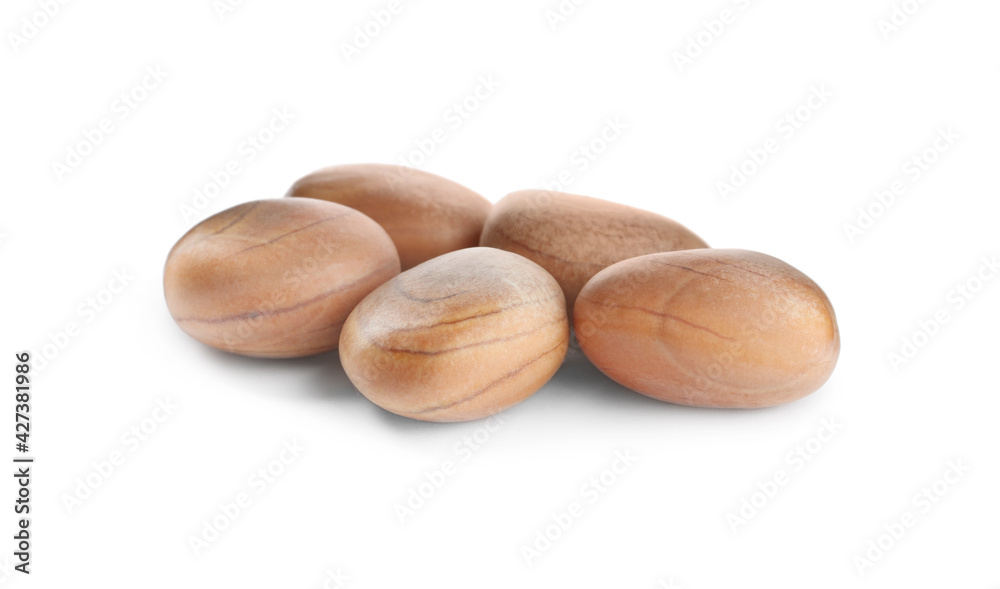 Fresh raw jackfruit seeds on white background Fresh raw jackfruit seeds on white background