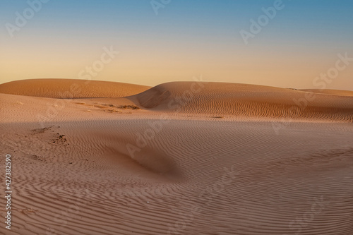 Beautiful patterns in the desert