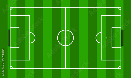 Soccer field in green grass stadium background design vector illustration