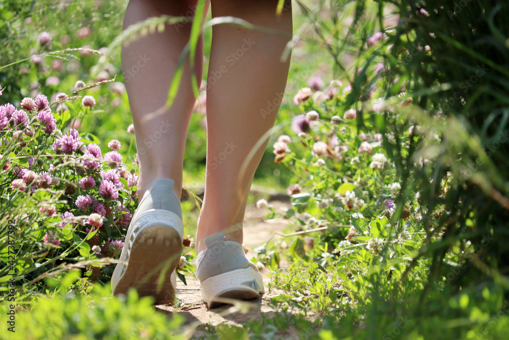 Woman walking on a summer meadow overgrown with clover flowers. Slim female legs on a path, running and vacation on a nature