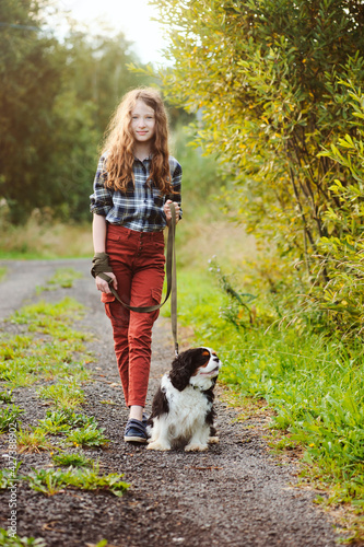 happy kid girl walking with her cavalier king charles spaniel dog on summer country road. Training her puppy and having fun.