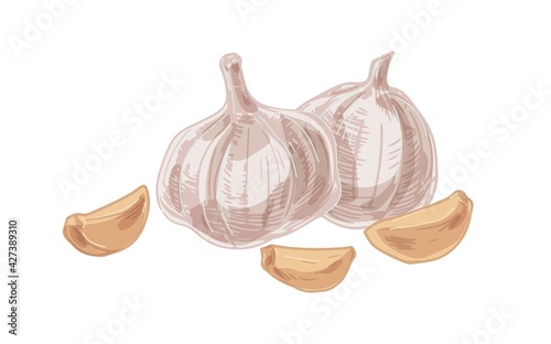 Composition with peeled garlic cloves and fresh raw whole bulbs of aromatic v...