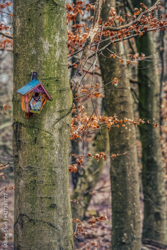 Wooden birdhouse on bare tree trunk in the woods conveys safe moving or secure tenancy concept. Bird house or nest box in a forest provides rent security, shelter and ownership protection illustration