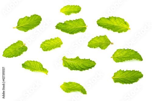 Fresh Peppermint leaves  isolated on white background