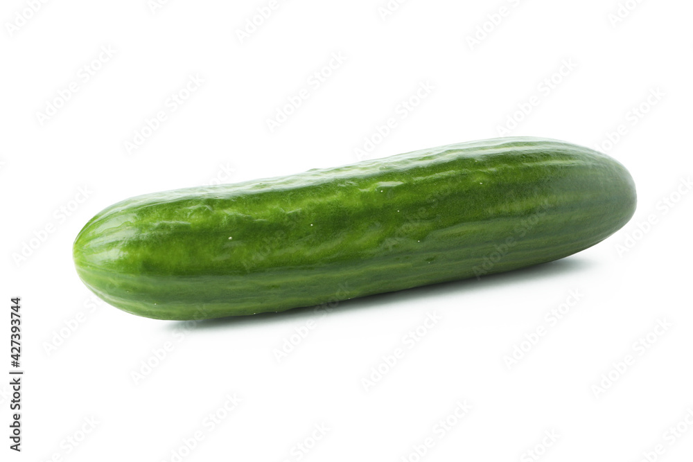 Fresh ripe cucumber isolated on white background Fresh ripe cucumber isolated on white background