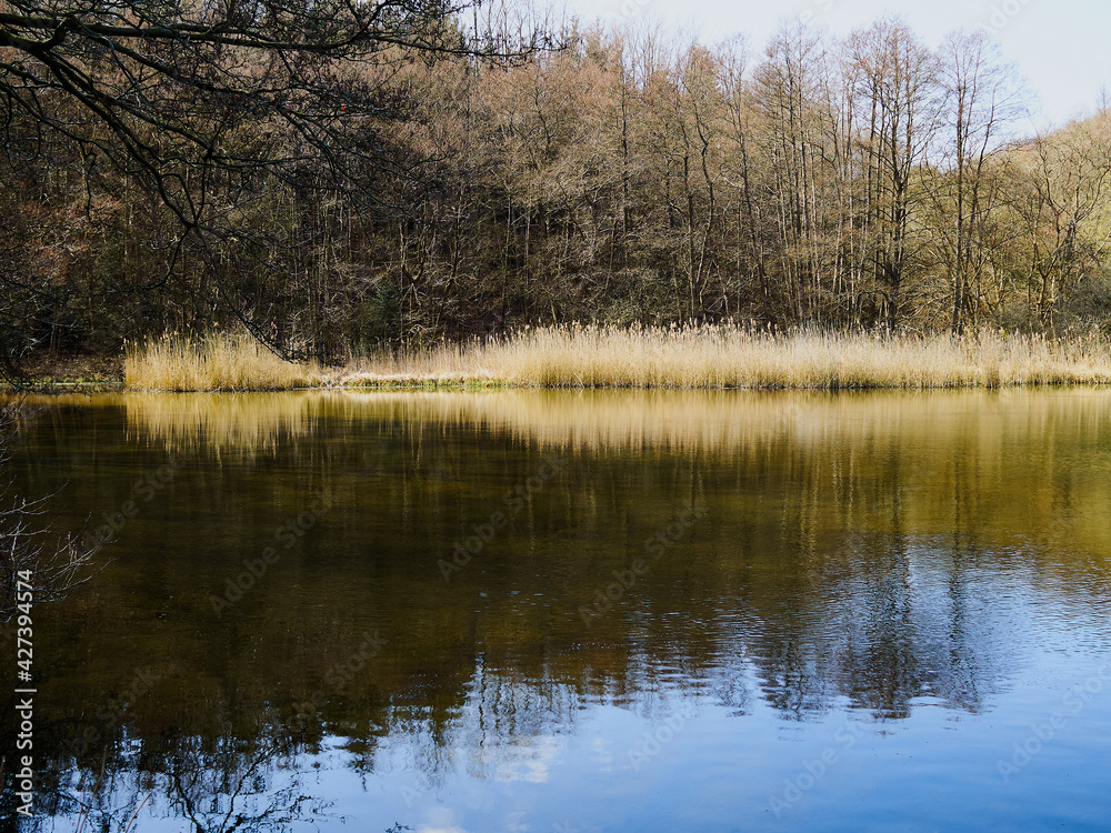 Beautiful calm small lake surrounded by trees near Faaborg Denmark