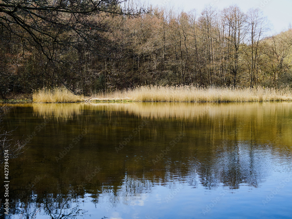 Obraz premium Beautiful calm small lake surrounded by trees near Faaborg Denmark