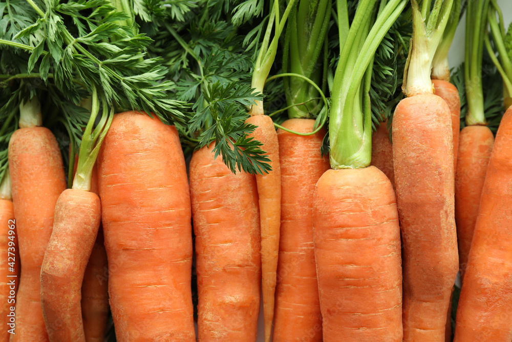 Fresh ripe carrot with leaves, close up Fresh ripe carrot with leaves, close up
