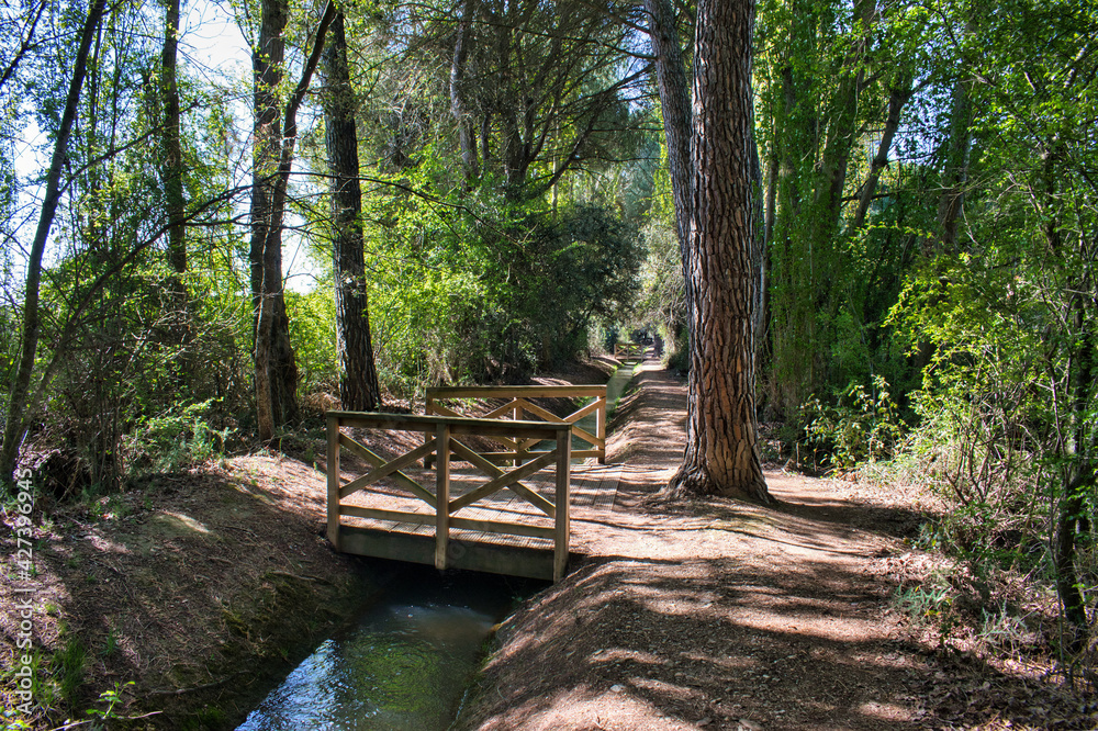Acequia de Laguna de Duero entre árboles y pequeño puente de madera Acequia de Laguna de Duero entre árboles y pequeño puente de madera