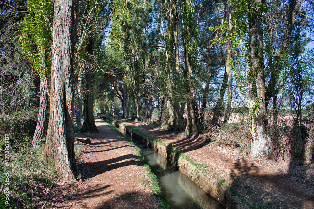 Agua para regadío en la acequia de Laguna de Duero, Valladolid Agua para regadío en la acequia de Laguna de Duero, Valladolid