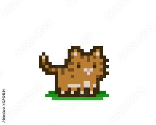Pixel cat image. Animal in vector illustration for Cross stitch pattern. photo