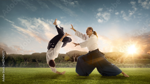 Man and boy, teacher fighting Aikido, training martial arts on meadow in summer evening © master1305