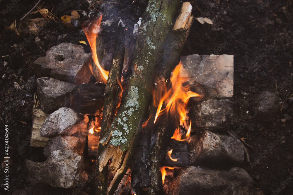 Wood burning in fireplace. Wooden sticks with smoke in firecamp. Flame and smoke. Picnic concept. Environment danger. Bonfire close up. Vacation in forest. Wood burning in fireplace. Wooden sticks with smoke in firecamp. Flame and smoke. Picnic concept. Environment danger. Bonfire close up. Vacation in forest.