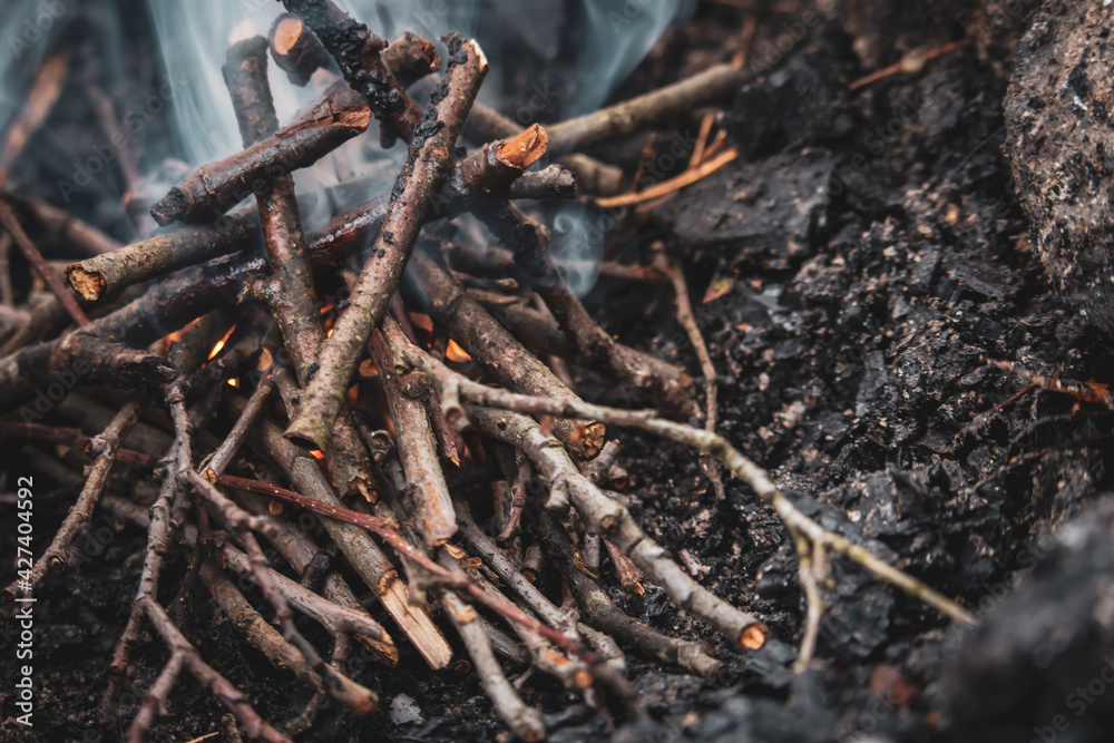 Wood burning in fireplace. Wooden sticks with smoke in firecamp. Flame and smoke. Picnic concept. Environment danger. Bonfire close up. Vacation in forest. Wood burning in fireplace. Wooden sticks with smoke in firecamp. Flame and smoke. Picnic concept. Environment danger. Bonfire close up. Vacation in forest.