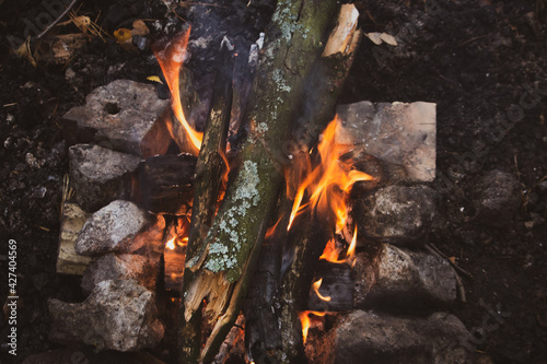 Wood burning in fireplace. Wooden sticks with smoke in firecamp. Flame and smoke. Picnic concept. Environment danger. Bonfire close up. Vacation in forest. 