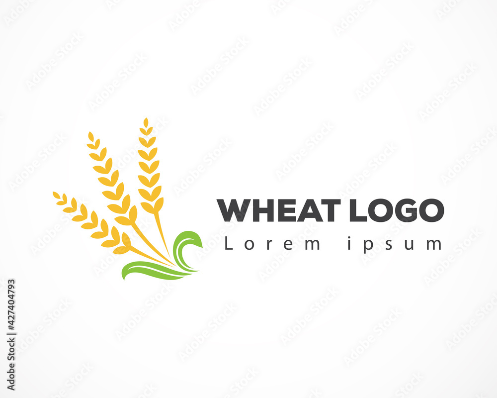 Agriculture Wheat Logo Template vector icon design