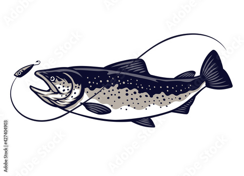 salmon fish swiming catching the lure