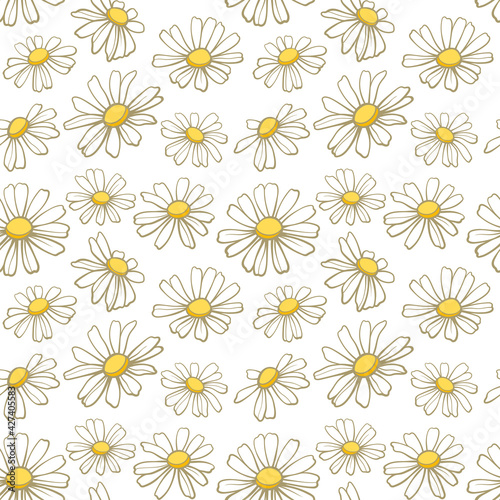 Chamomile seamless pattern, line art drawing. Daisy wild flowers in gentle pastel colors, vector background