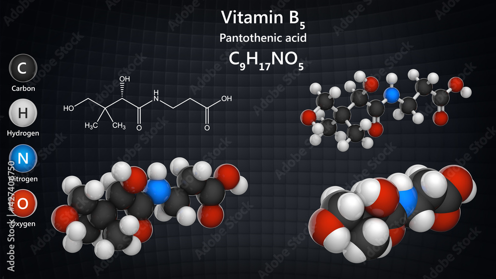 Molecular structure of Vitamin B5(Pantothenic acid). Also known as